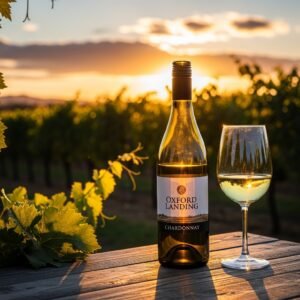 oxford landing (cha9rdollay)